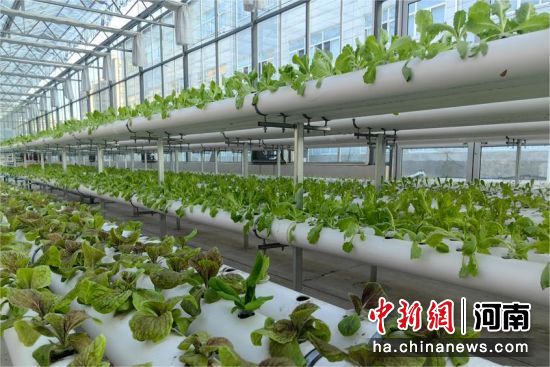 �D��ˮ���߲������i �z