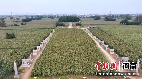 �D����̩����^(q��)��(n��i)�ĸ����u�γ�����(�o�˙C��Ƭ)�R�� �z