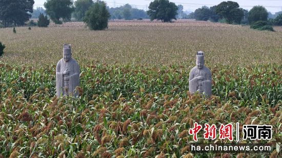 �D����̩����^(q��)��(n��i)��ʯ�����͸�������(�o�˙C��Ƭ)�R�� �z