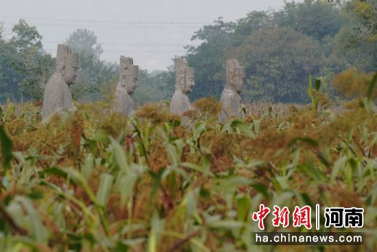 �D��u��Ⱦ�t�ĸ����c����ǧ���ʯ������ӳ��Ȥ���R�� �z