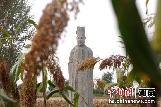 �D����̩����^(q��)��(n��i)��ʯ�������R�� �z