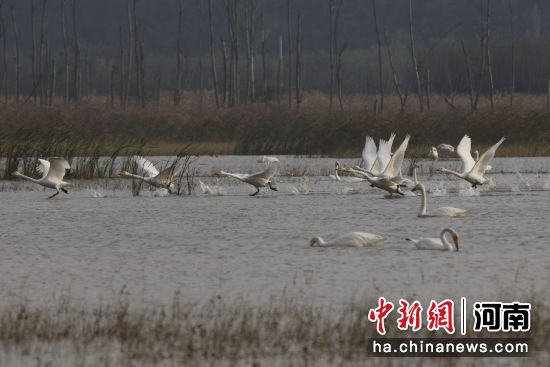 �D������Z��ˮ������߮���衣������ �z