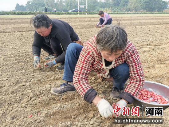 �D������ڲ���N��