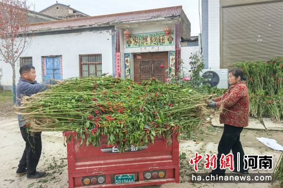 �D���r(n��ng)���ڰ��\(y��n)������