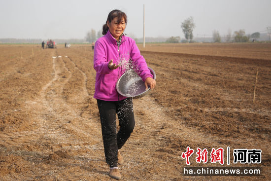 �D���r(n��ng)��(h��)�鄂���N��С��?zh��n)��ʡ?������z