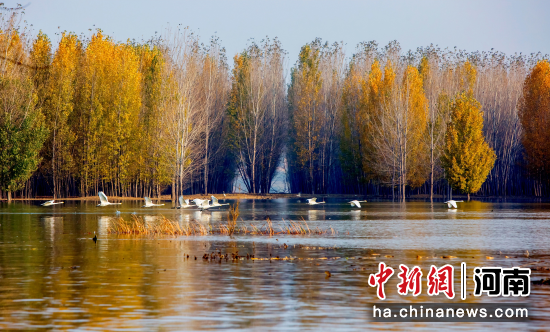 �D����I�^(q��)���ٝ�صİ����Z�����I�^(q��)�Ļ������ξֹ��D