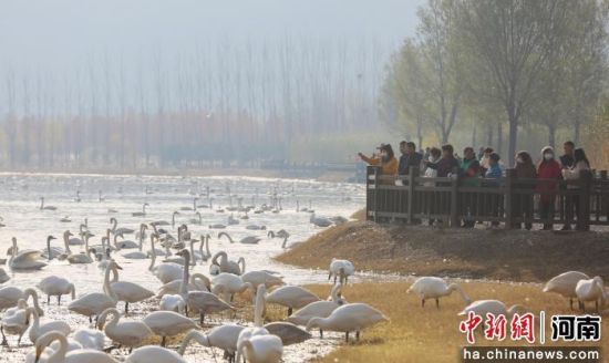 �D���ο��^�p���Z���O�� �z