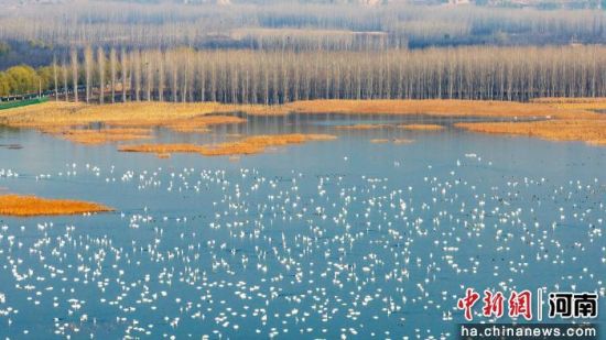 ���Z�����T�{�S�ӝ��Խ�����O�� �z