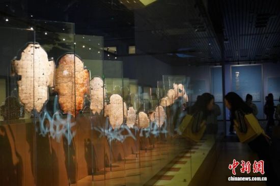 2024��6��12�գ��^�������沩���^���^�׹������¾W(w��ng)