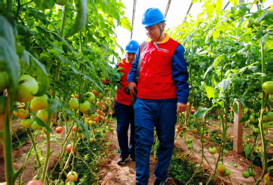 �D�鹤���ˆT�ڌ�����Oʩ�_չ����Ų���