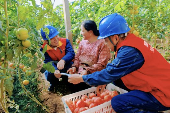 �D�鹤���ˆT����Nֲ���v�ⰲȫ���֪�R��