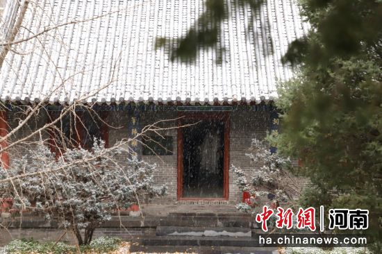 �D��ѩ�����t����