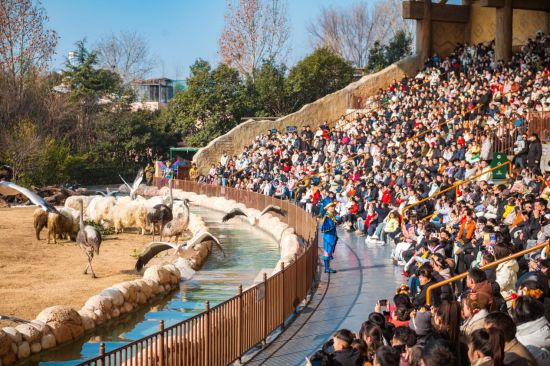 �����y��Ԫ��ӭ��5.58�f����(chu��ng)�vʷͬ���¸�