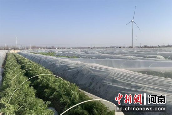 �D��ȴ����յĺ��}������