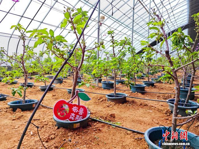 ���l(xi��ng)���С������d��һ�wС�������ں��r(n��ng)����