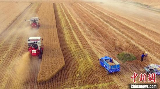 �������M(j��n)���йܰࡱ�ƺ�1��Z�ɱ�14�|�˳ԃ����