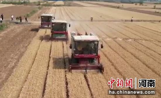 �����l(w��i)�xС���_� �Ƽ�?j��)���Y(ji��)���T����