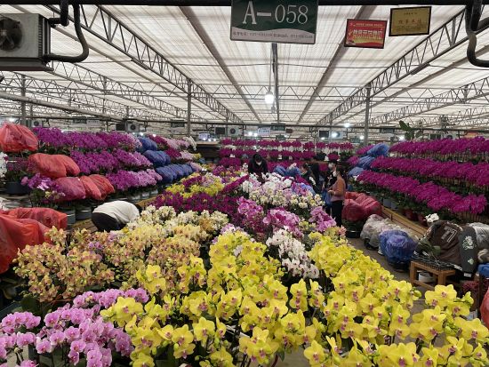 �������ݣ������Ј�(ch��ng)��������� 