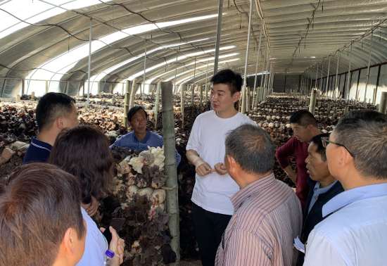 (��ԭ��(chu��ng)��)�l(xi��ng)�����d�����˼�����(chu��ng)�I(y��)�߂����r���쾀��