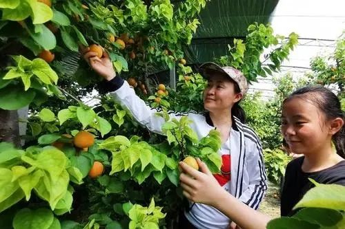 (��ԭ��(chu��ng)��)���ˮ���ڰ��@�ﰲ�˼�