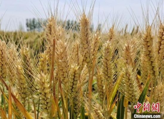 @����ĺ������l(xi��ng) ��?zh��n)ղ��ó?�������æ