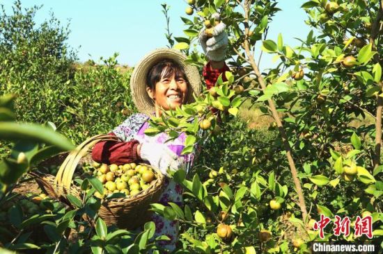 ���r(sh��)�����������I(y��)��һ���Ͳ��_(k��i)���eɽ���Gɫ�y�С�