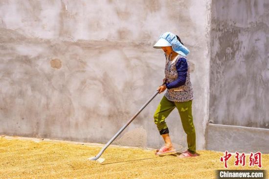 ���ϣ��������ϸ�Zʳ����ڼZ�Ј�