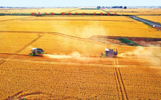 �a(ch��n)���� �|(zh��)���� �r(ji��)��� ��������������F(xi��n)����(y��u)�㡱