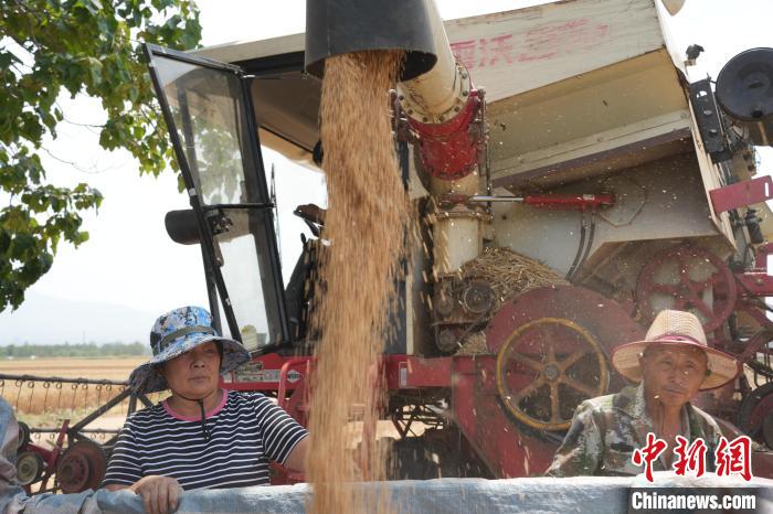 ���ϣ�׌ÿ�����Ӱ�����}