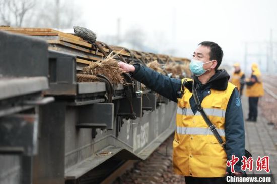 һ��(g��)���߉ă��pЬ��؛�z�����ڱ���