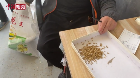 ֱ��ԥ�����N�ի@��}���ӌ��P(gu��n)���طN�Ӱ�ȫ