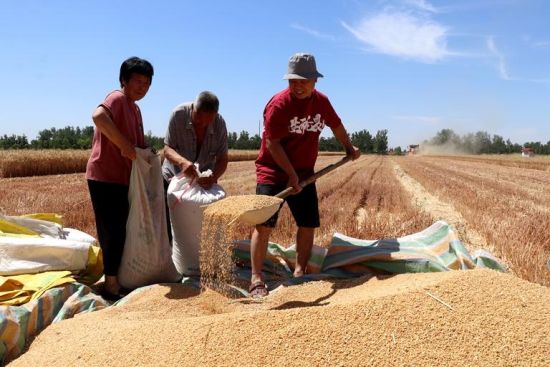 ��(zh��n)���� �Z�S��