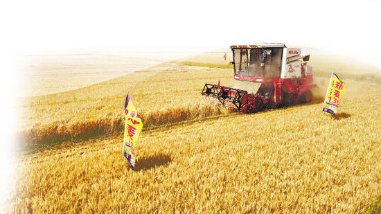 ���a(ch��n)ϲӍ̎̎(�ǳ�֮���(zh��n)����)