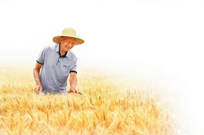 ���Ї���һ�����񳯸�����