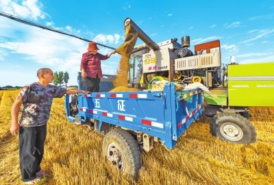 ȫ���Ը���(zh��n)�����ġ�ح�ƌW(xu��)�{(di��o)�� �����ڊZ�Z��