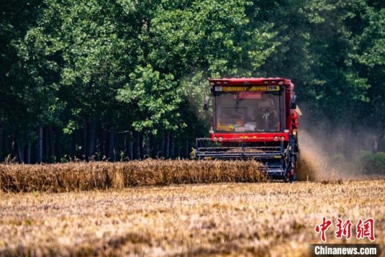 ����չ�_С�������Ց�(zh��n)�� ���ի@3499�f��