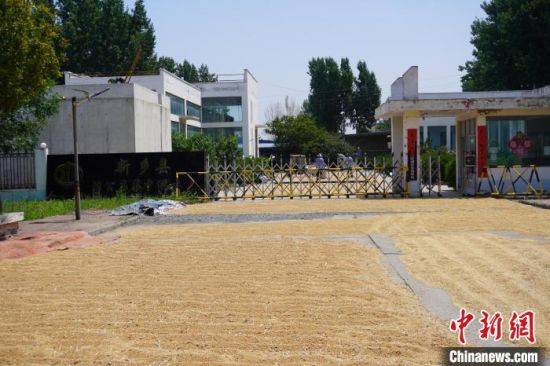 �،���ԥ��С�����񡰈D���� ���f�ֵ��MĿ���S