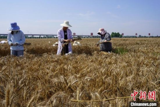 ֱ��ԥ�����N�ի@��}���ӌ��P(gu��n)���طN�Ӱ�ȫ