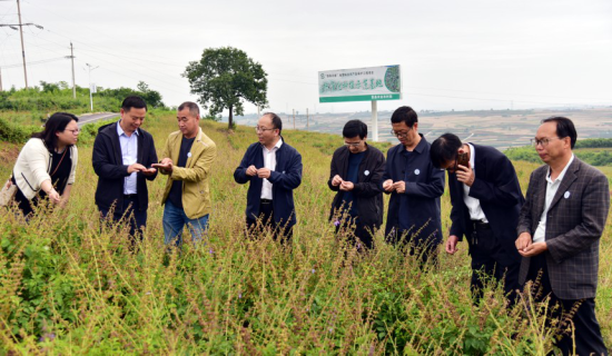 �����Կh���Ƽ����ɆT�͡�����æ