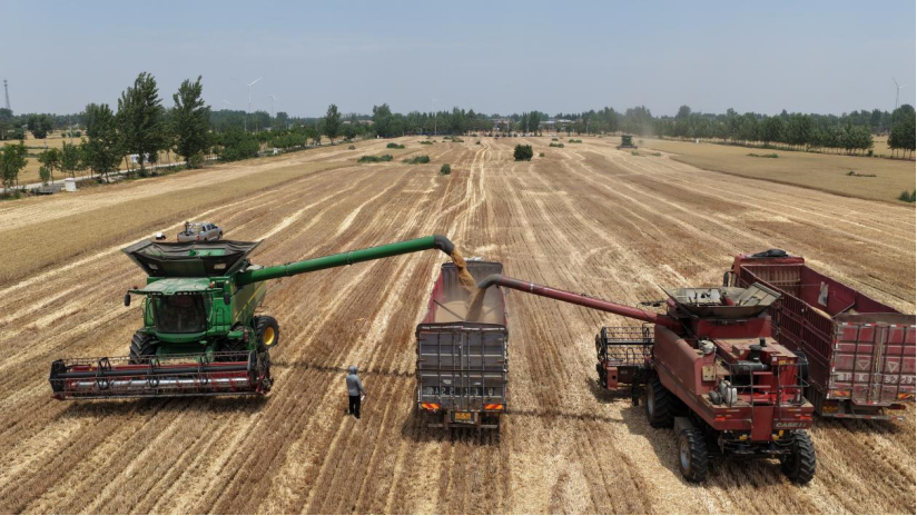 �m�������(zh��n)�ļZ�w���w�} ���L(f��ng)���I(l��ng)�l(xi��ng)�����d��ƪ��