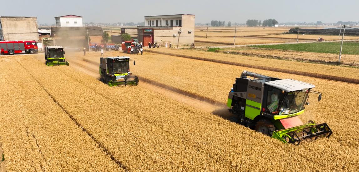 ����轿h97�f��С��?zh��n)ո��M(j��n)��β